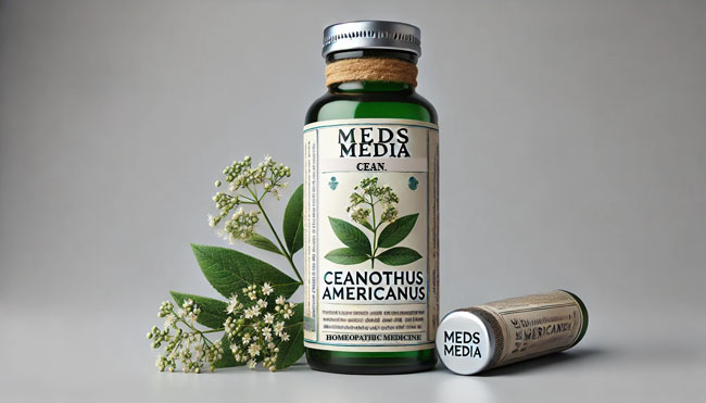 Ceanothus Americanus: Homeopathic Medicine for Diabetes, Uses and Indications